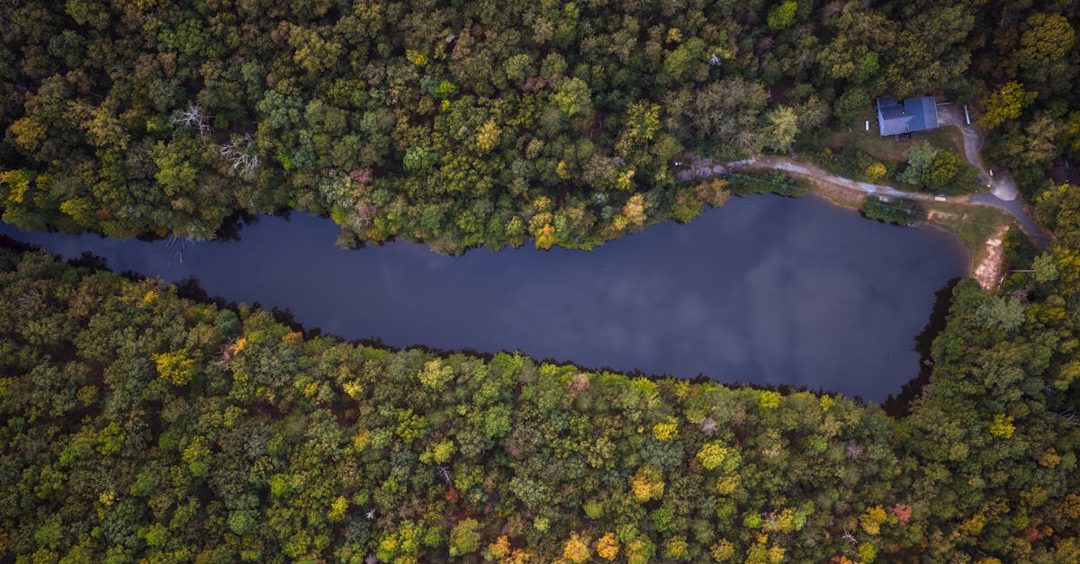 Scenery representing Alabama