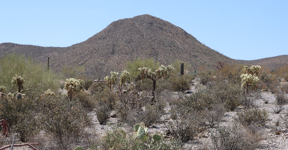 Scenery representing Arizona