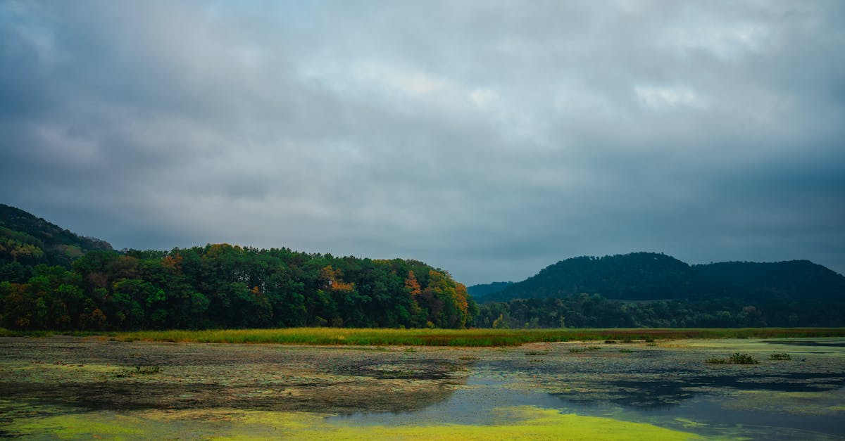 Scenery representing Arkansas