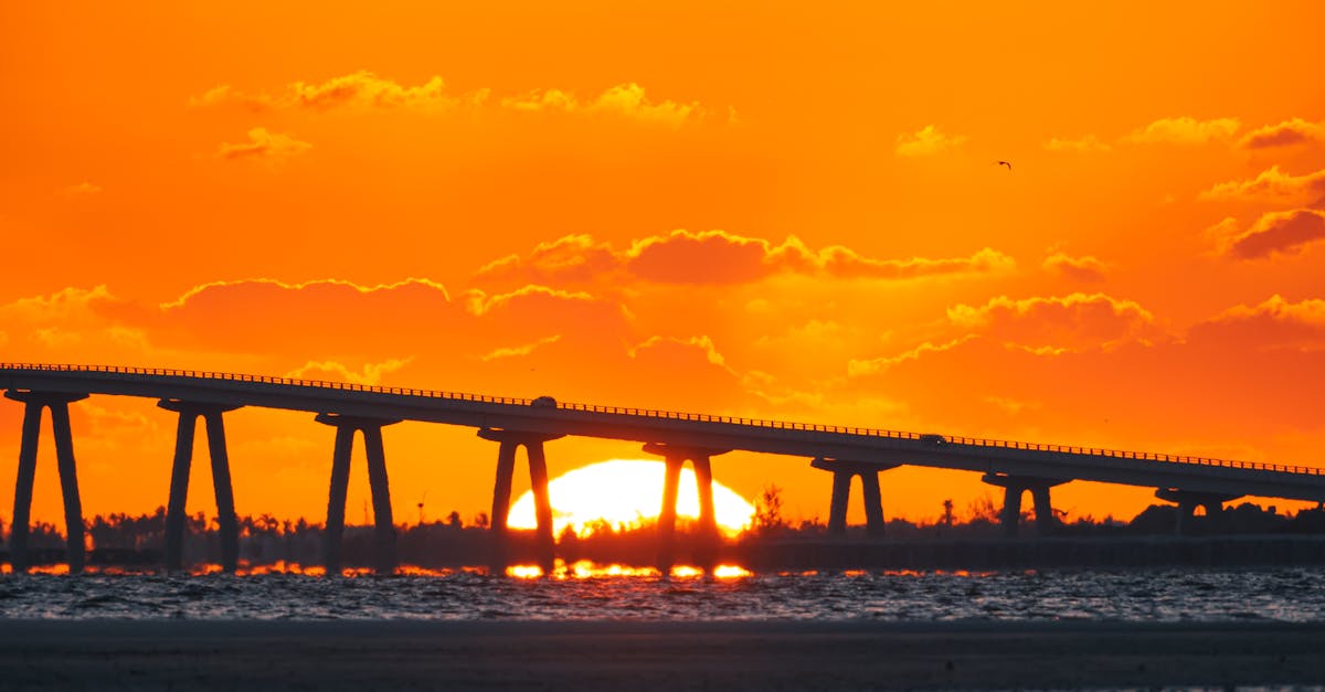 Scenery representing Florida