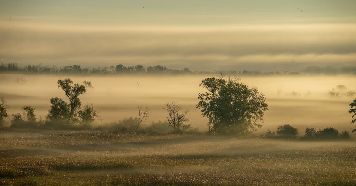 Scenery representing Nebraska