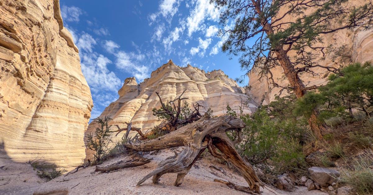 Scenery representing New Mexico