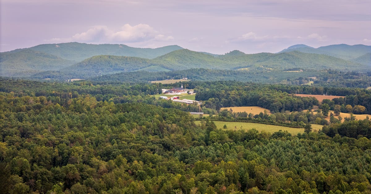 Scenery representing North Carolina