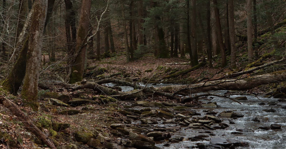 Scenery representing West Virginia